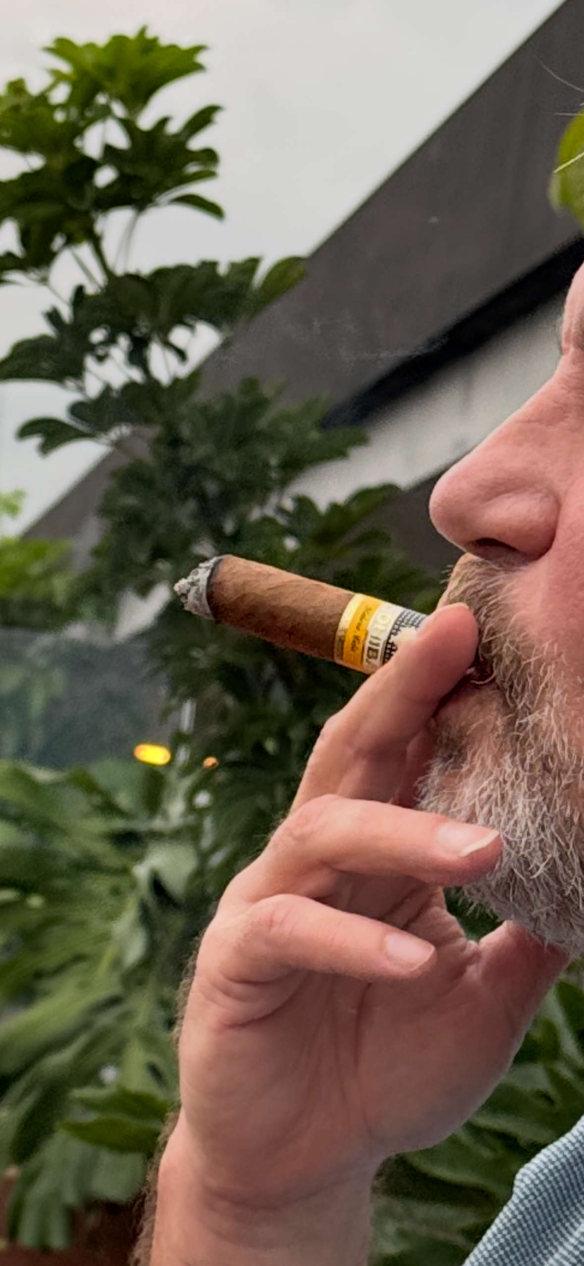 Earth Energy — What Is It?