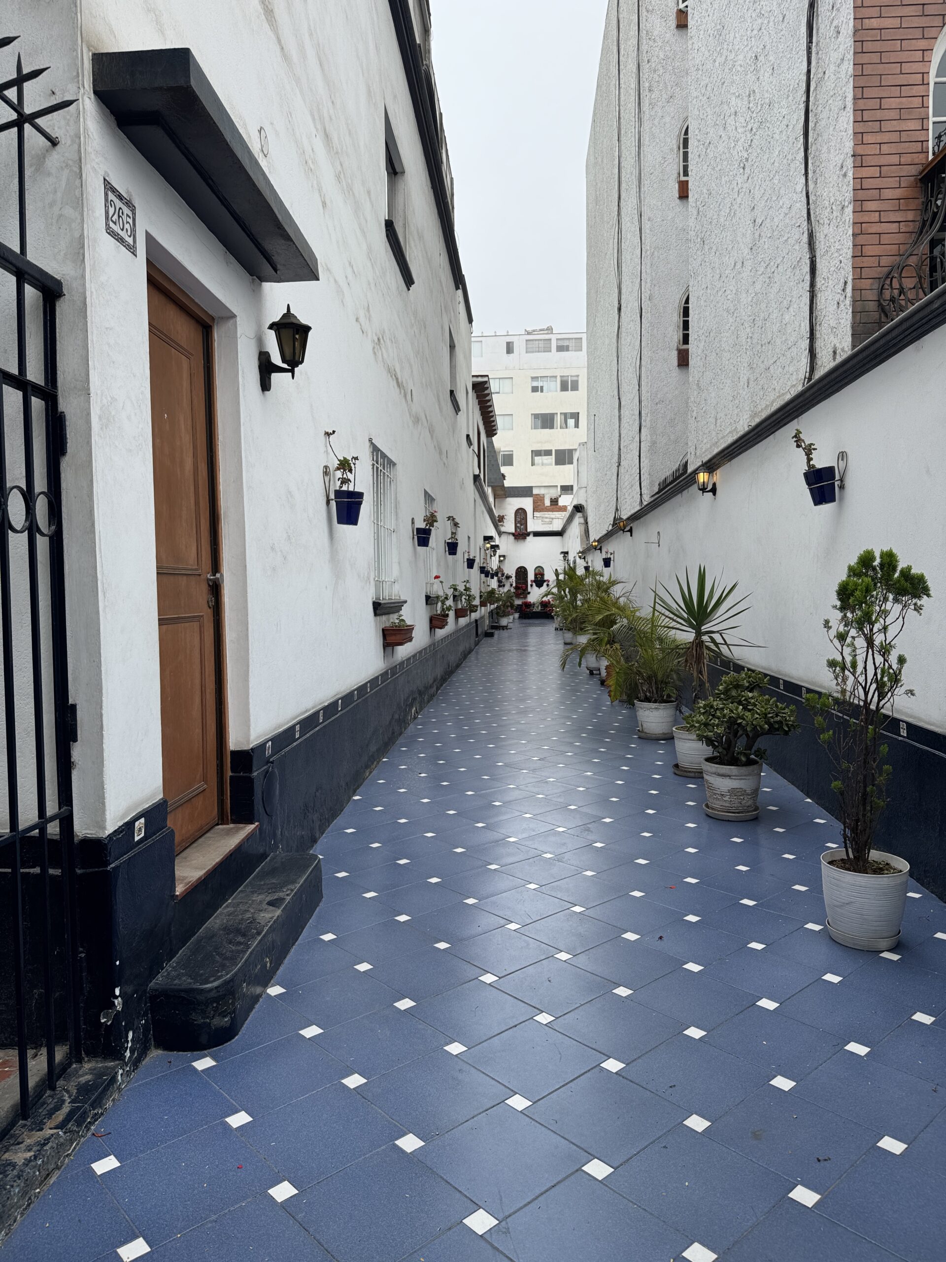 Lima, Peru Is Full of Surprises (Good Ones!)